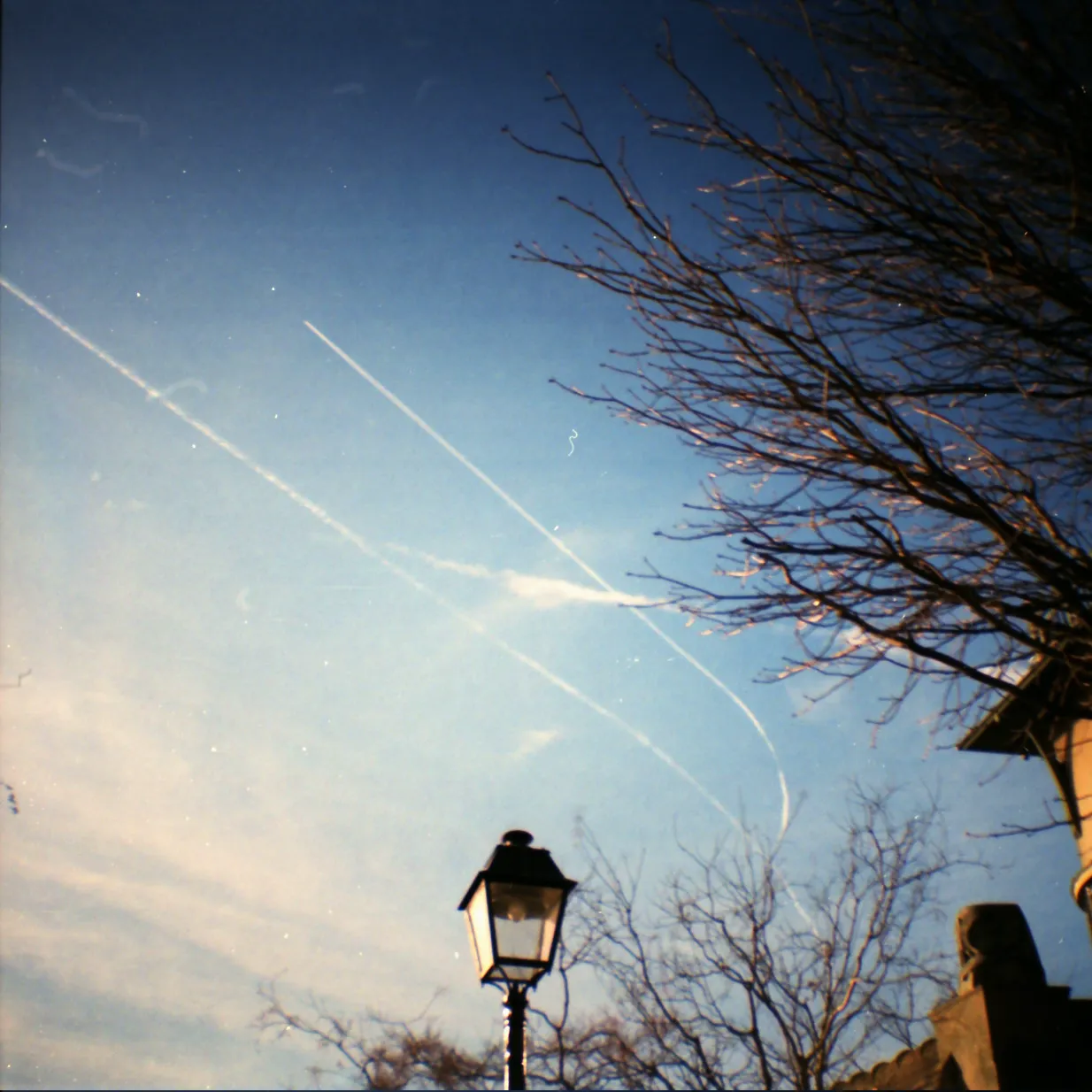 Una foto del cielo con le scie di condensazione di due aerei, in alto sopra gli alberi e un palo della luce